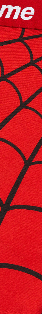 Supreme®/Hanes® Spider-Man Boxer Briefs (2 Pack)