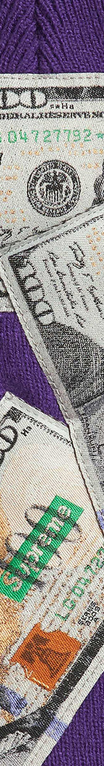 Money Beanie