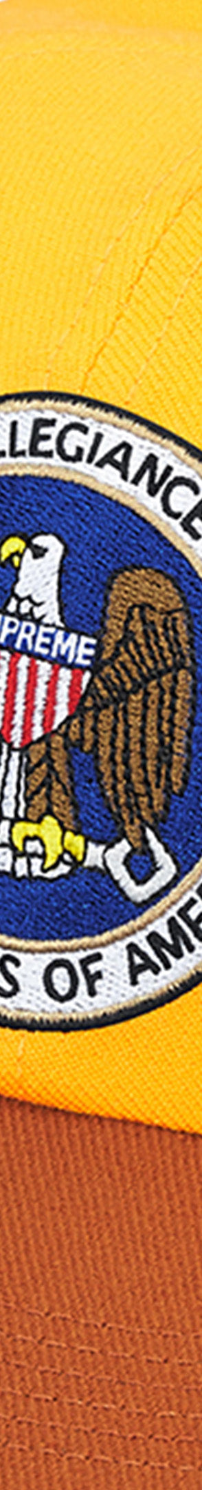 Pledge Allegiance 6-Panel