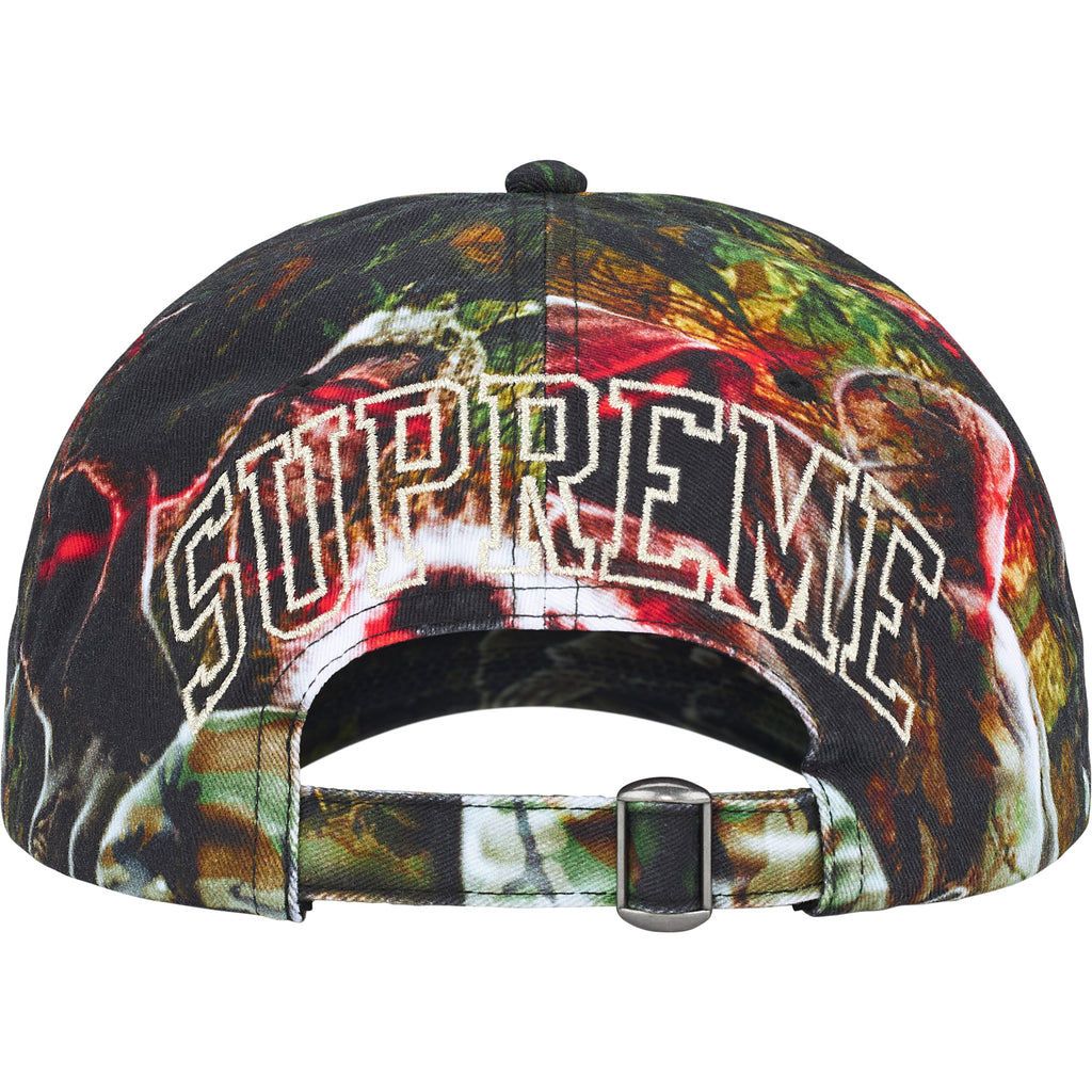 Shadows 6-Panel - Shop - Supreme