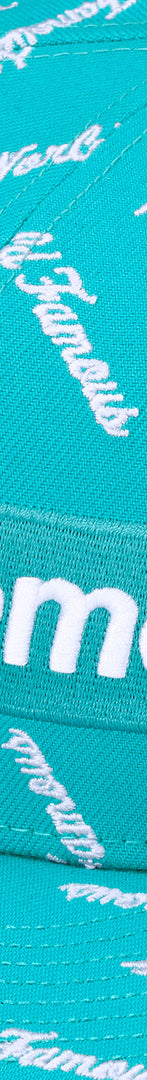 World Famous Box Logo New Era®