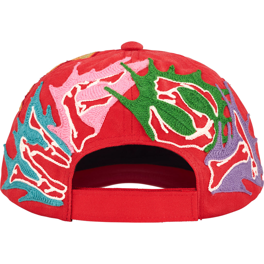 WFST 6-Panel