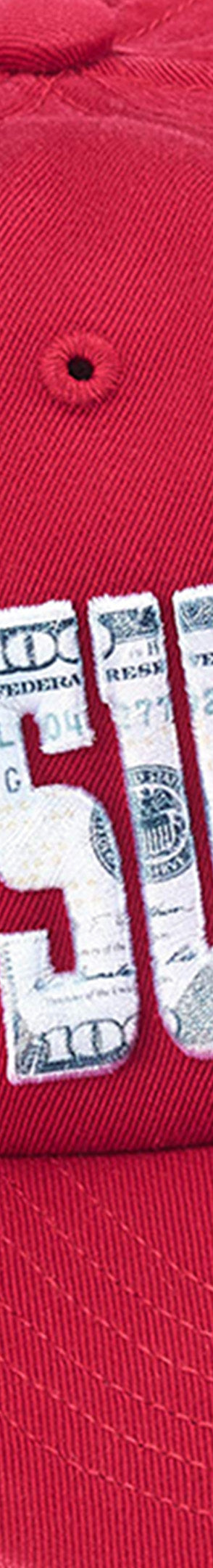 Embroidered Money Logo 6-Panel - Image 4