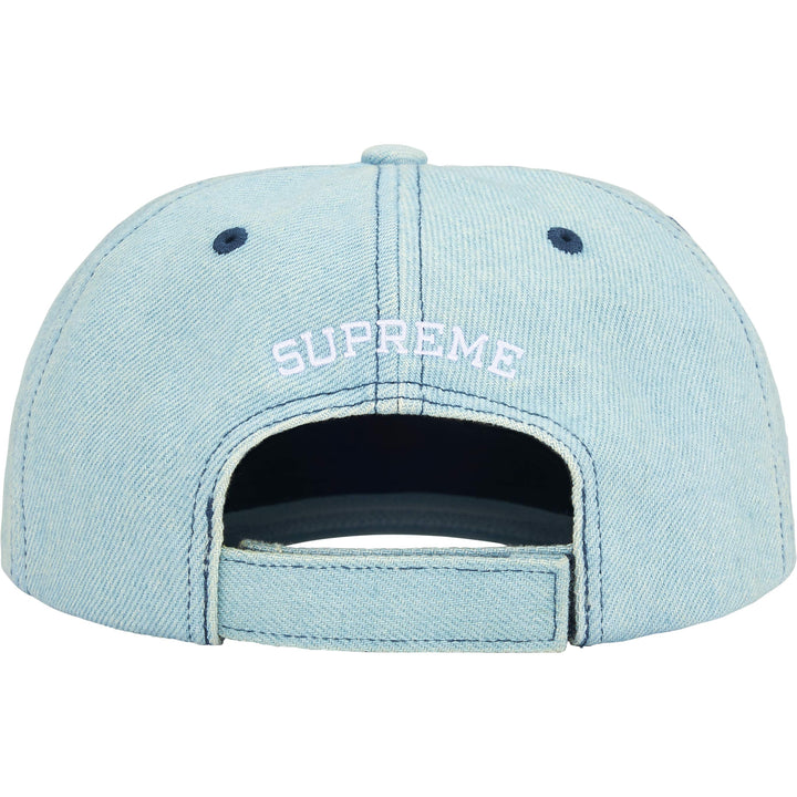 Embroidered Money Logo 6-Panel - Shop - Supreme