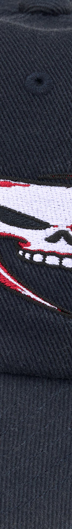 Skulls Spellout 6-Panel