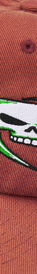 Skulls Spellout 6-Panel