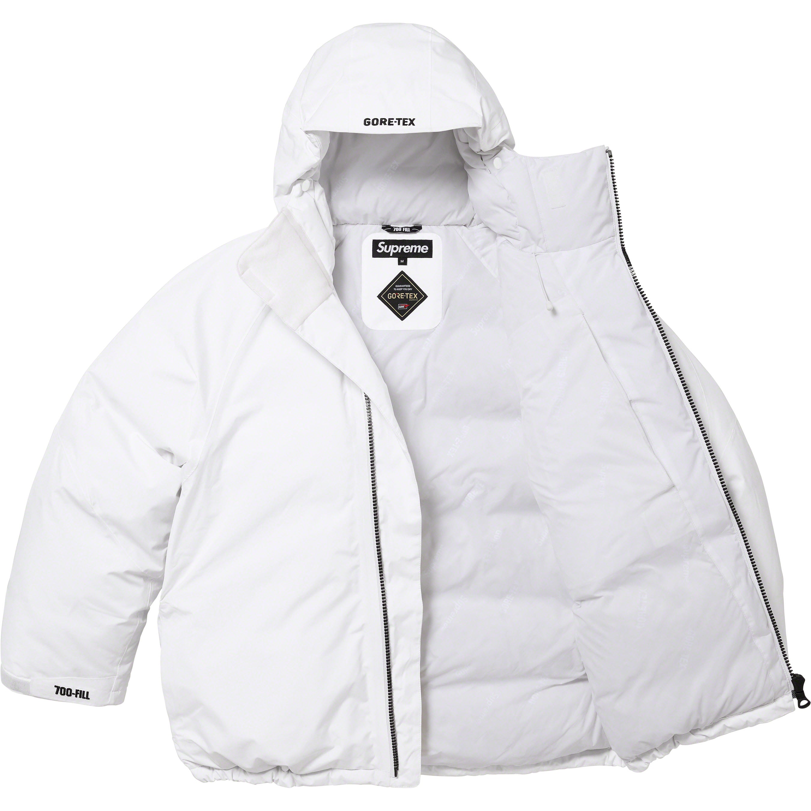 GORE-TEX 700-Fill Down Parka