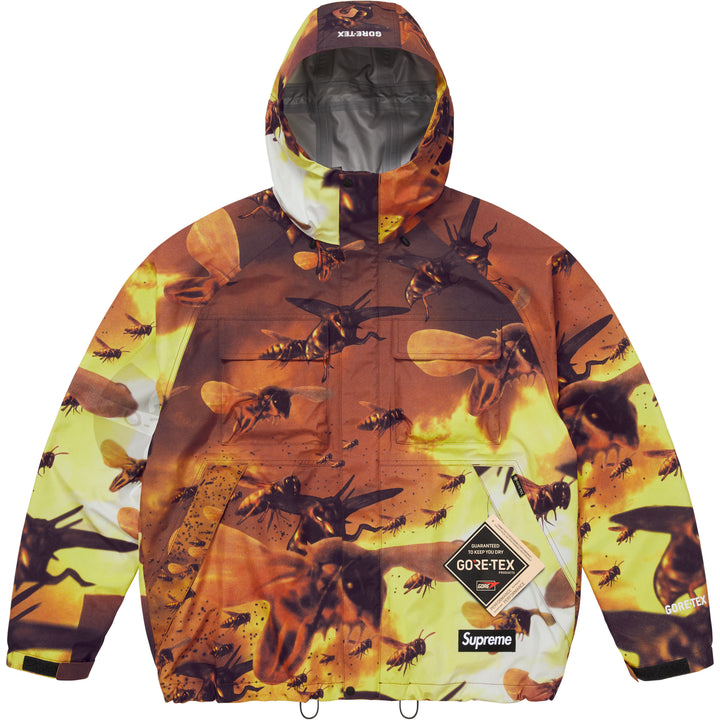 GORE-TEX Shell Jacket (Multicolor)-1