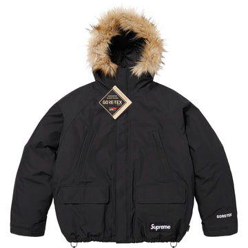 2-in-1 GORE-TEX Parka + Reversible 700-Fill Down Liner Jacket