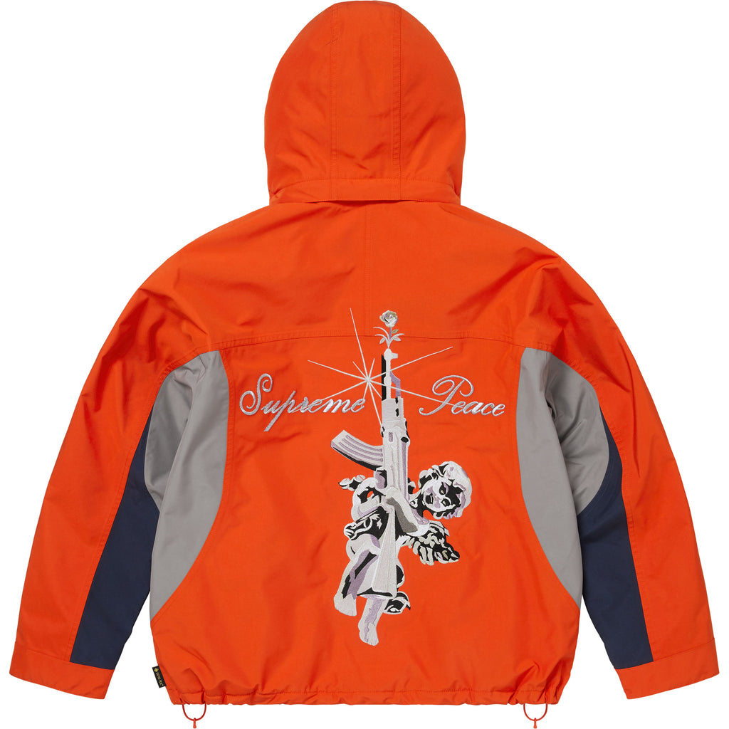 AOI GORE-TEX Hooded Jacket