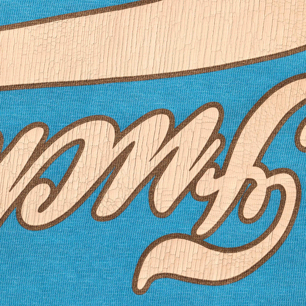 Cracked Flipped S/S Top
