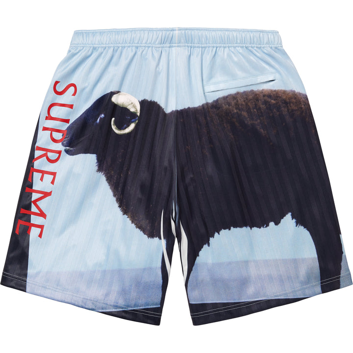 Supreme/Damien Hirst Soccer Short - Shop - Supreme