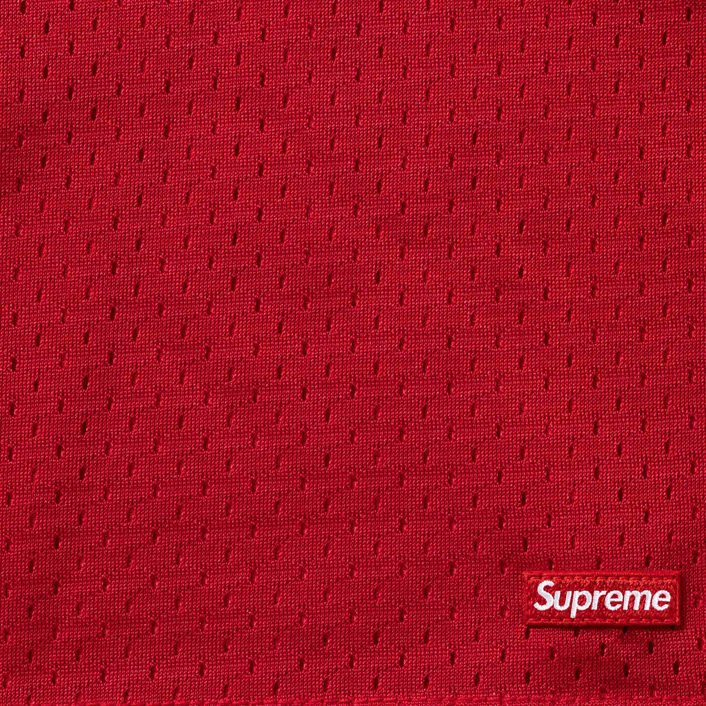 Small Box Baggy Mesh Short
