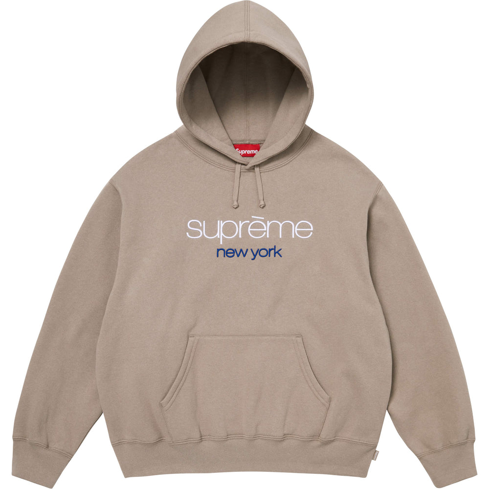 Classic Logo Hooded Sweatshirt