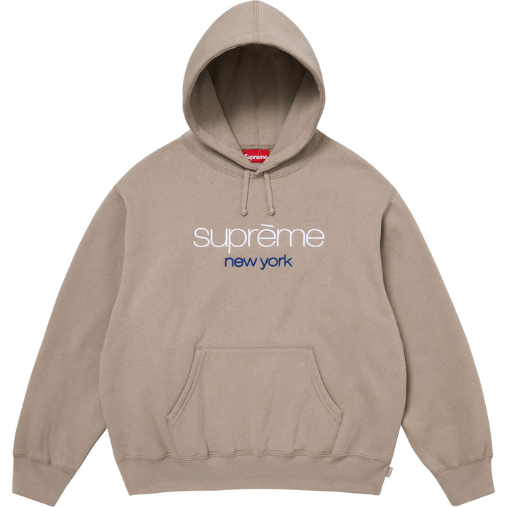 Classic Logo Hooded Sweatshirt