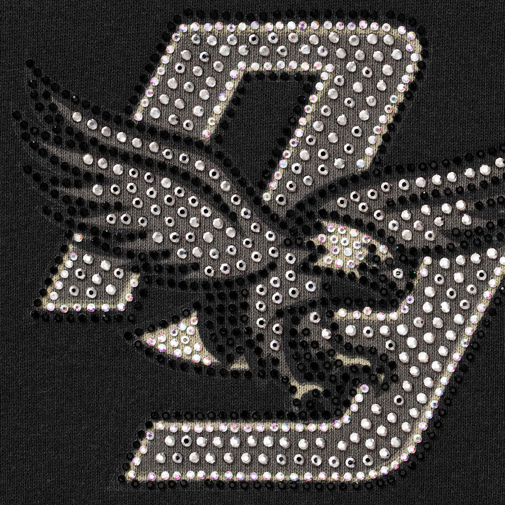 Rhinestone Eagle Hooded Sweatshirt
