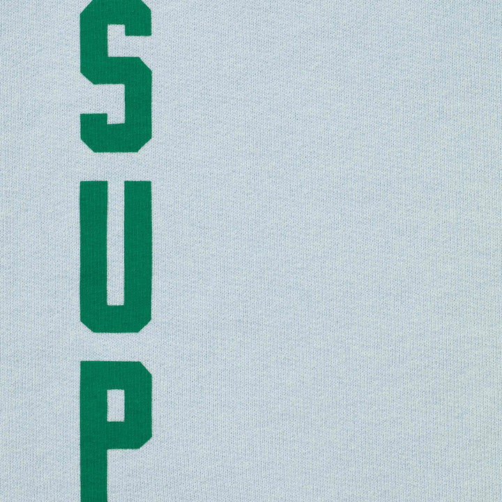 Washed Logo Hooded Sweatshirt - Shop - Supreme