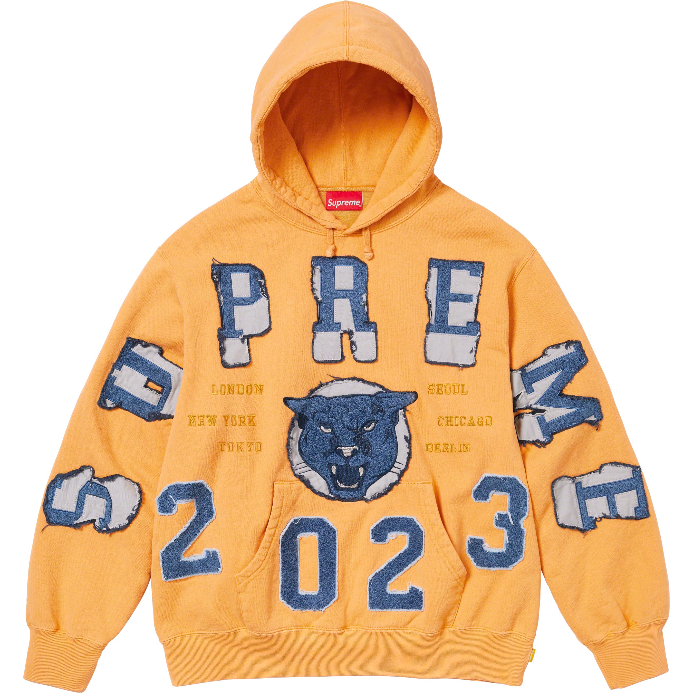 Washed Panther Hooded Sweatshirt