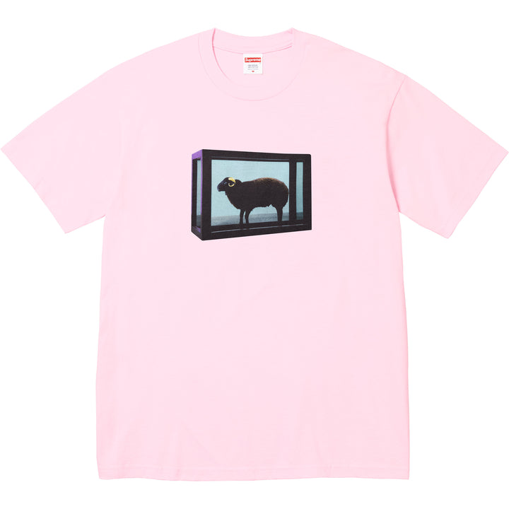 Supreme/Damien Hirst Tee - Shop - Supreme