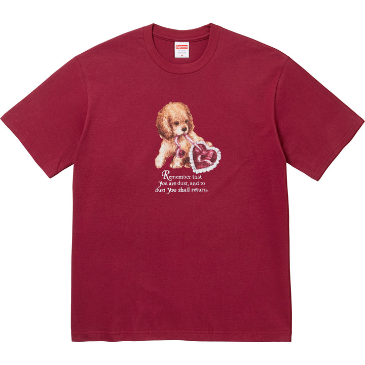 PLAY コムデギャルソン　 カーディガン　ステューシー　supreme PLAY コムデギャルソン カーディガン ステューシー supreme